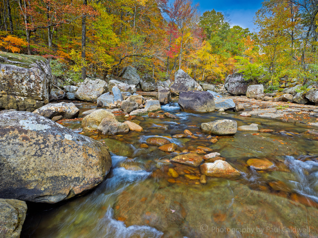 copyr Early morning along Richland Creek