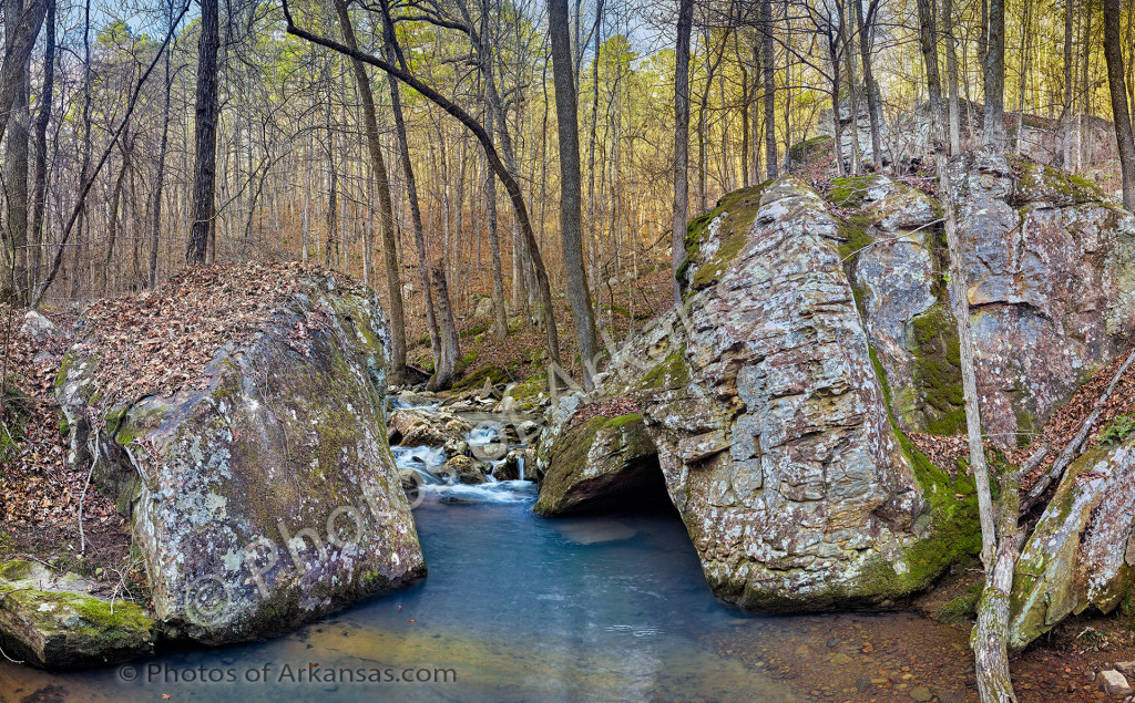 Wintertime scenery on White Oak Mountain near Hector Arkansas 