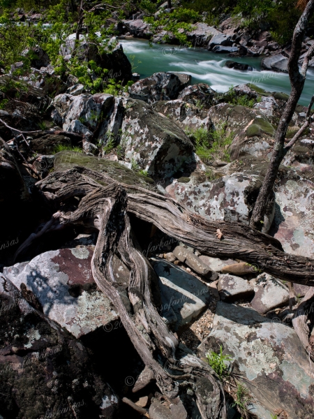 19 Twin Trees And Rocks Along The Cossatot - Professional arkansas_ouachita_gallery_no_1 photography by Paul Caldwell