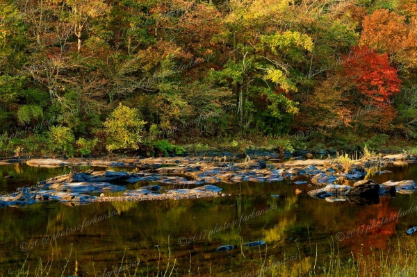 20 Early Morning Along The River - Professional arkansas_ouachita_gallery_no_1 photography by Paul Caldwell