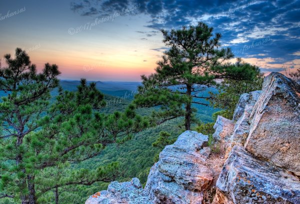 01 Twin Trees And Sunset Near Flatside Pinnacle - Professional Arkansas Ouachita Gallery No 2 photography by Paul Caldwell