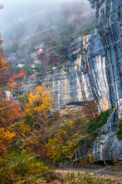 03.1 Early November Morning Along The Buffalo River - Professional arkansas_ozark_gallery_no_1 photography by Paul Caldwell