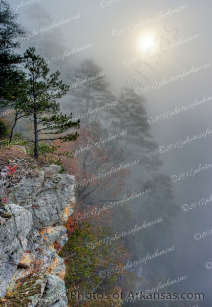 05 Foggy Morning View From The Summit Of Roark Bluff - Professional arkansas_ozark_gallery_no_1 photography by Paul Caldwell