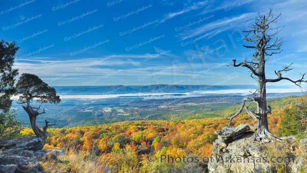 35 Morning Vista From Mt Magazine Looking Towards Blue Mountain - Professional arkansas_ozark_gallery_no_1 photography by Paul Caldwell