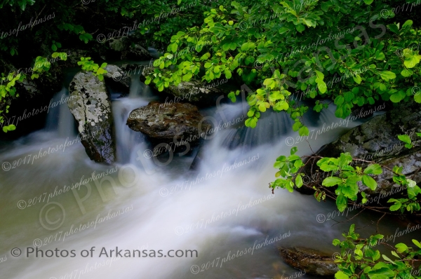 24 Leaves And Rain Drops On Falling Water Creek - Professional Arkansas Ozark Gallery No 2 photography by Paul Caldwell