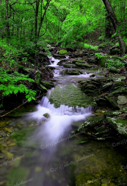 04 Small Cascade On Hidden Creek - Professional arkansas_ozark_gallery_no_3 photography by Paul Caldwell