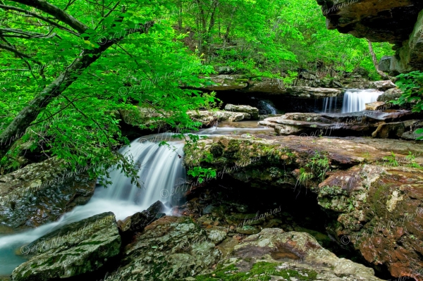 17 Small Cascade Near Falling Water Creek - Professional arkansas_ozark_gallery_no_3 photography by Paul Caldwell