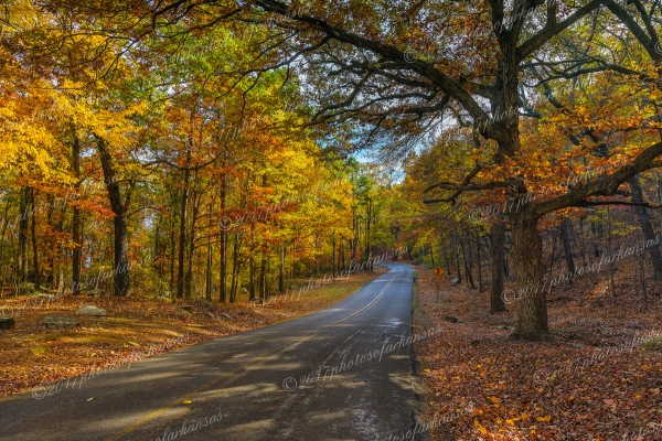 19 Fall Scene On The Road To Mt Nebo - Professional arkansas_ozark_gallery_no_3 photography by Paul Caldwell