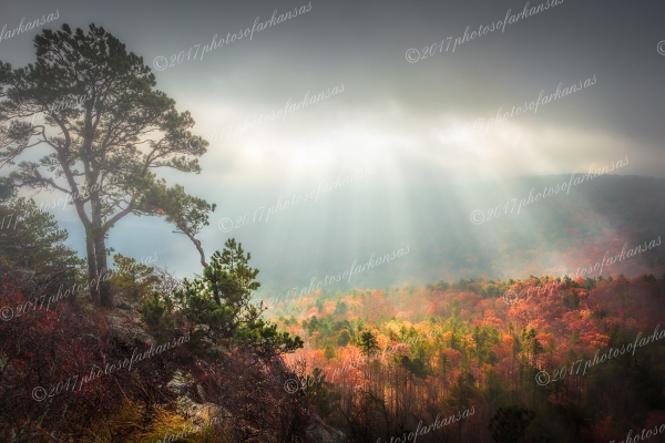 23 Foggy Sunrise From The Summit Of Flatside Pinnacle - Professional arkansas_ozark_gallery_no_3 photography by Paul Caldwell