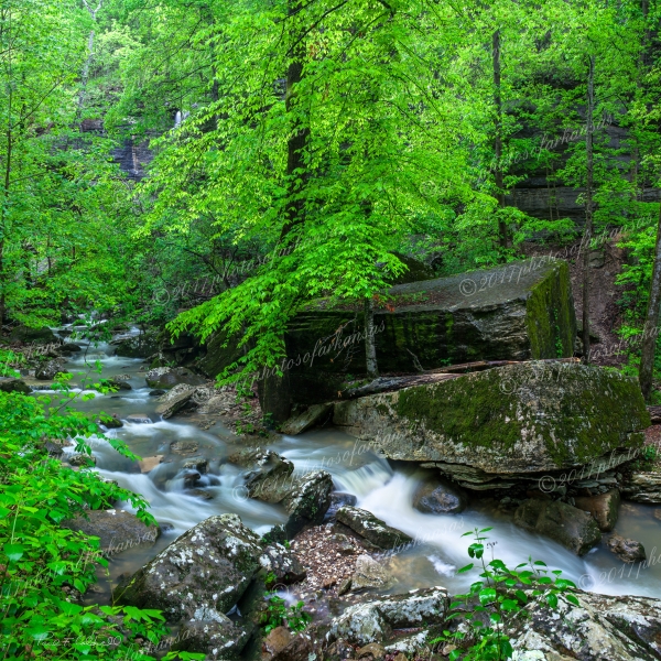 07 Late Springtime At Jigsaw Blocks In Lost Valley - Professional Buffalo River photography by Paul Caldwell