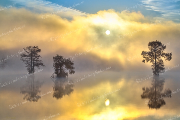 14 Morning Fog At Lake Mamuelle In Pulaski County - Professional My Favorites Gallery photography by Paul Caldwell