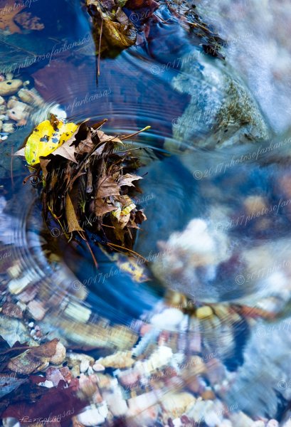 03.1 Leaves In The Flow On Sylamore Creek - Professional Natural Abstracts Gallery No 2 photography by Paul Caldwell
