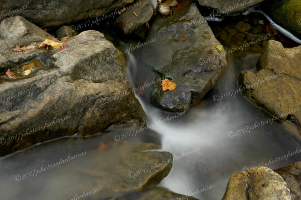 17 Rocks And Leaves On Richland - Professional Natural Abstracts Gallery No 2 photography by Paul Caldwell