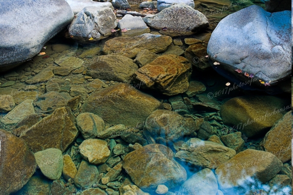 20 Clear Water - Professional Natural Abstracts Gallery No 2 photography by Paul Caldwell