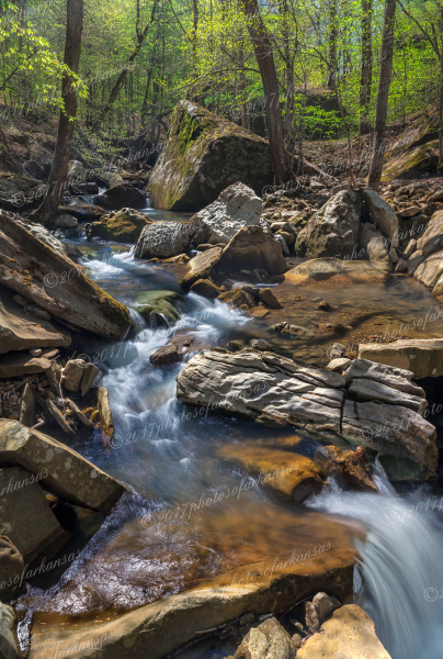 06 Early Spring Scene Of Smith Creek In The Upper Buffalo Wilderness - Professional New Photography 2026 photography by Paul Caldwell