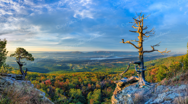 16 Fall View From The Summit Of Mt Magazine Looking Towards Blue Mountain - Professional New Photography 2026 photography by Paul Caldwell