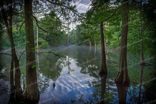 01 Early Morning On The Maumelle River In Perry County - Professional South Arkansas And Bayo Country photography by Paul Caldwell