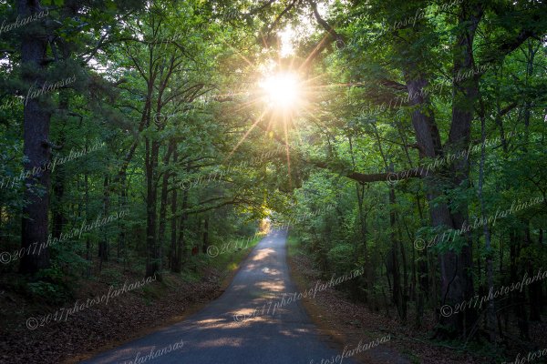 03 Early Morning Along The River Road Near Pine Bluff Arkansas - Professional Temporary Gallery photography by Paul Caldwell