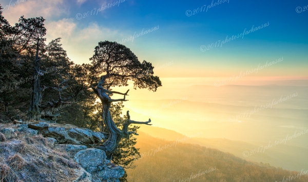 04 Early Morning Vista From The Summit Of Mt Magazine - Professional Temporary Gallery photography by Paul Caldwell