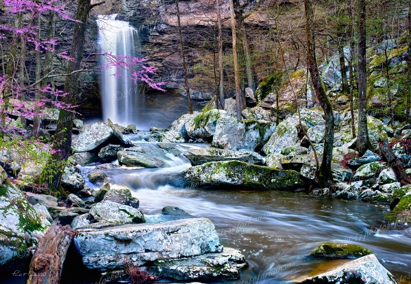 18 Springtime At Cedar Falls On Petit Jean Mountain - Professional Temporary Gallery photography by Paul Caldwell