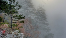 12/29/15 Featured Arkansas Landscape Photography--Foggy Morning View from Roark Bluff