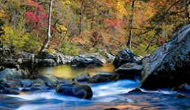 12/18/15 Featured Arkansas Landscape Photography--Late afternoon on Richland Creek