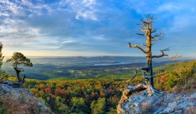 10/14/16 Featured Arkansas Landscape Photography--Sunrise from the summit of Mt. Magazine