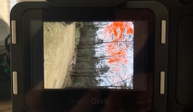 03/20/19 Auto Rotate for image playback on Phase One IQ4 still problematic