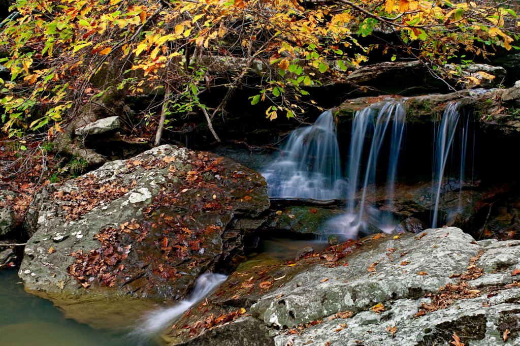 Fall Scene along Falling Water Creek in Newton County 