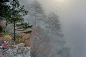 Buffalo River Fog