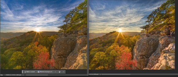 Hasselblad Color comparison Phocus and Lightroom